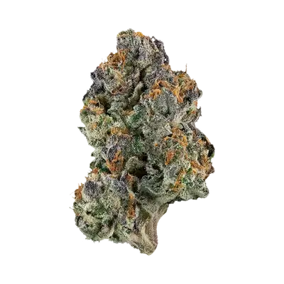 Goblin Mode by Boston Roots Seed Co cannabis strain
