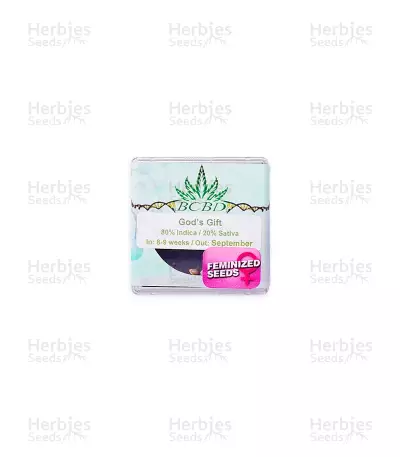 God's Gift by BC Bud Depot, Photoperiod cannabis strain