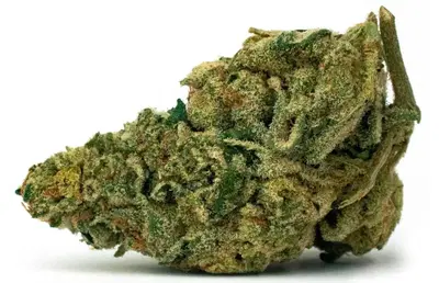 Golden Gas by Glass House Farms cannabis strain