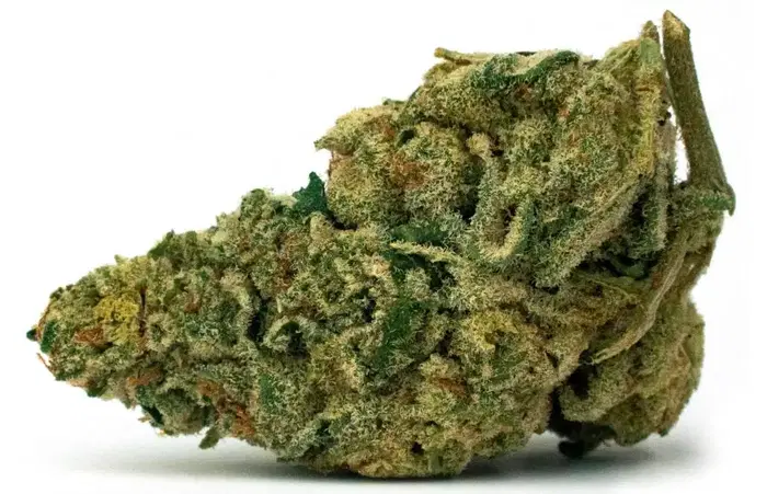 Golden Gas by Glass House Farms cannabis strain