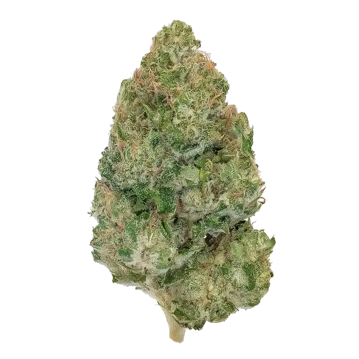 Golden Milk by High Grade Selections cannabis strain