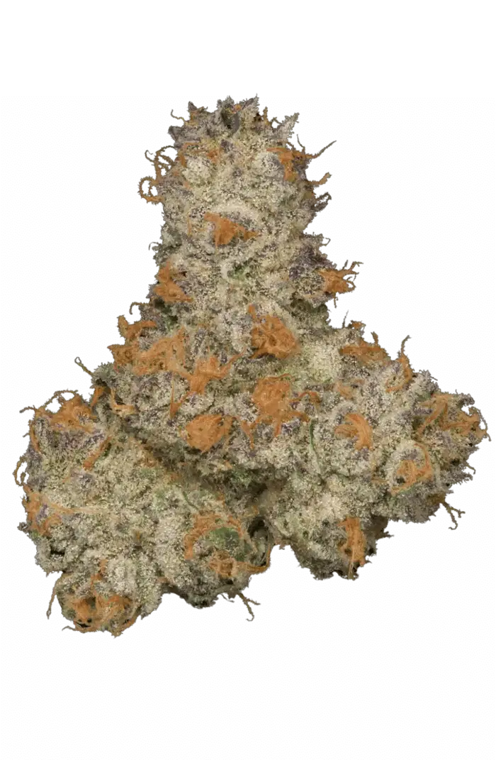 Grape Rtz by Tahoe Nugz cannabis strain