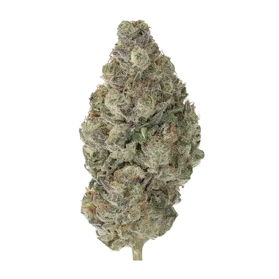 Grateful Irene by High Grade Selections cannabis strain