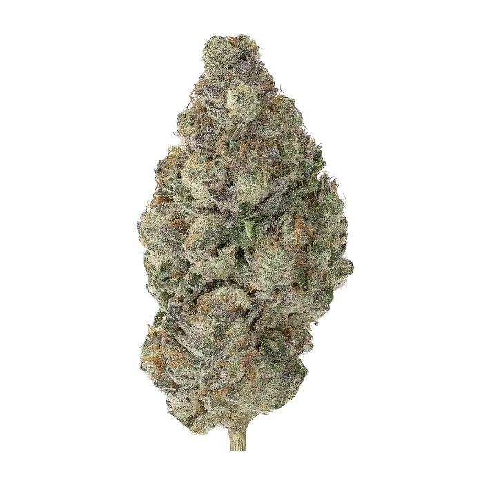 Grateful Irene by High Grade Selections cannabis strain