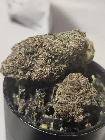 Grits And Jam by Turtle Pie Co cannabis strain