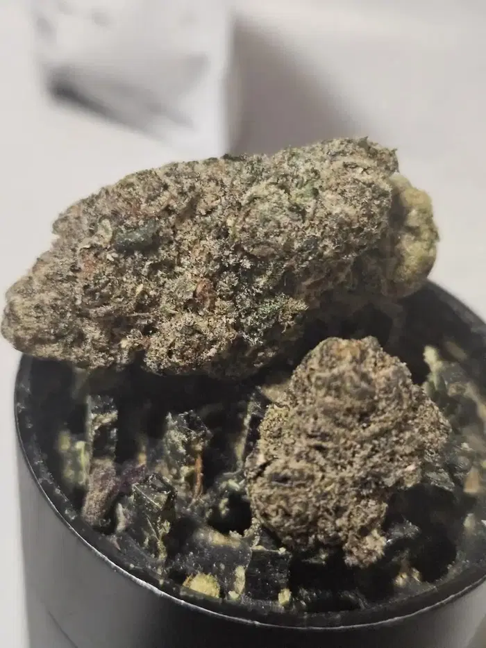 Grits And Jam by Turtle Pie Co cannabis strain