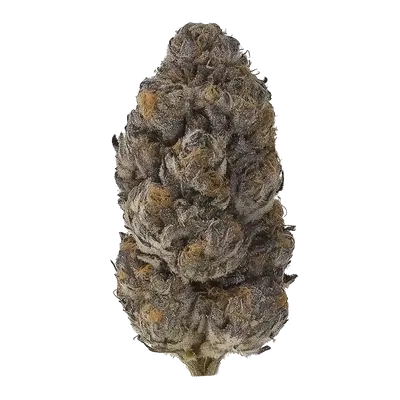 Hawaiian Runtz by Runtz Crew cannabis strain