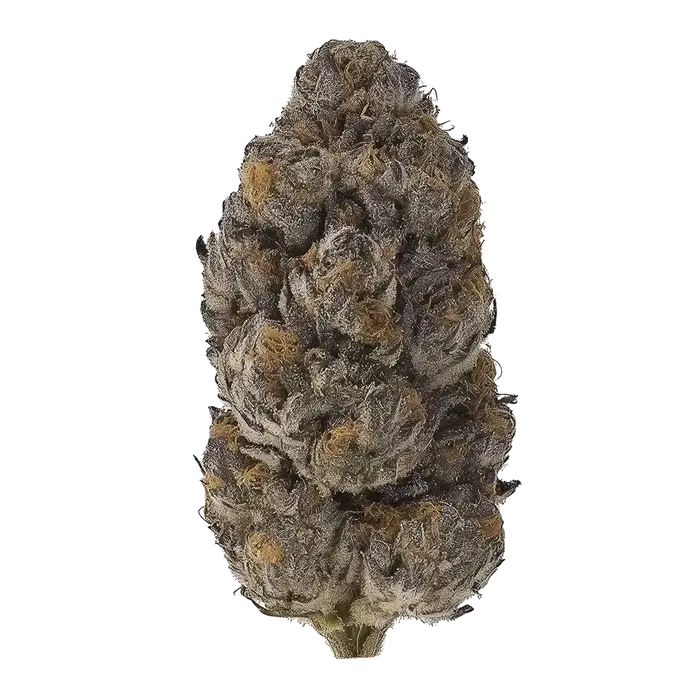 Hawaiian Runtz by Runtz Crew cannabis strain