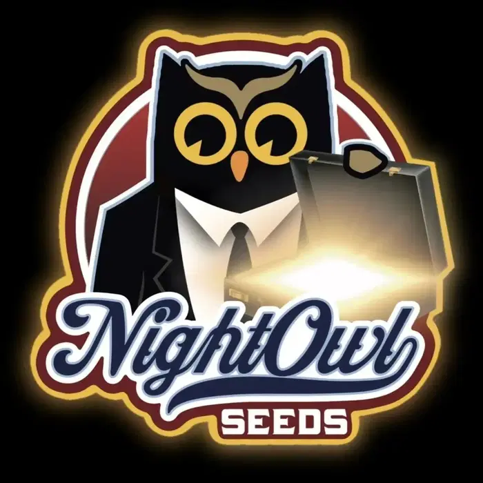 Head Zeppelin F4 Auto by Night Owl Seeds cannabis strain