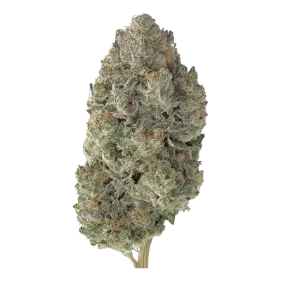 Headstone by High Grade Selections cannabis strain