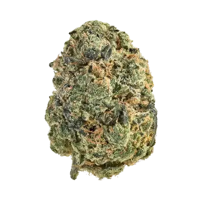 Hells Bells by Swamp Boys Seeds cannabis strain