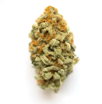 Hermosa by Umma Sonoma cannabis strain