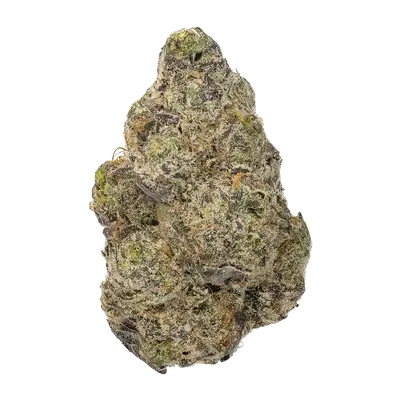 Hoshigaki by High Grade Selections cannabis strain