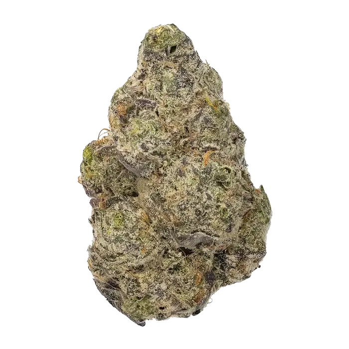 Hoshigaki by High Grade Selections cannabis strain
