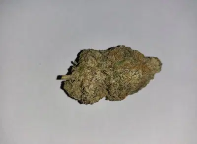 Ice Wine by Terra Firma Exclusives cannabis strain