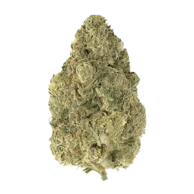 Illegal Og by High Grade Selections cannabis strain