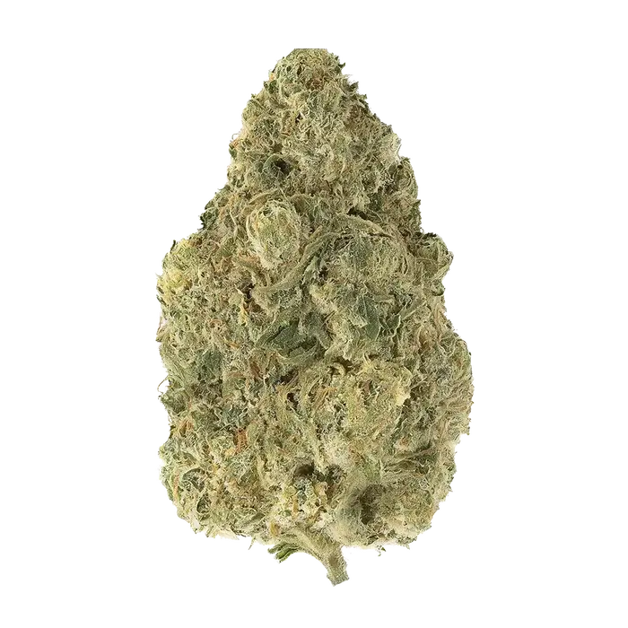 Illegal Og by High Grade Selections cannabis strain