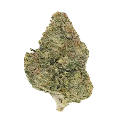 Irene'S Papaya by High Grade Selections cannabis strain