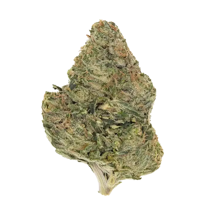 Irene'S Papaya by High Grade Selections cannabis strain