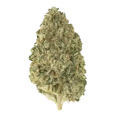 Irene Kush Bx2 by High Grade Selections cannabis strain