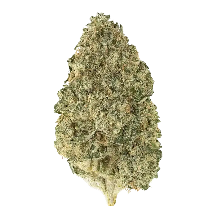 Irene Kush Bx2 by High Grade Selections cannabis strain