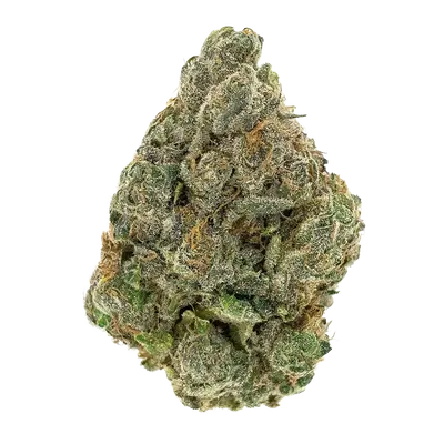 Irene'S Dog by High Grade Selections cannabis strain