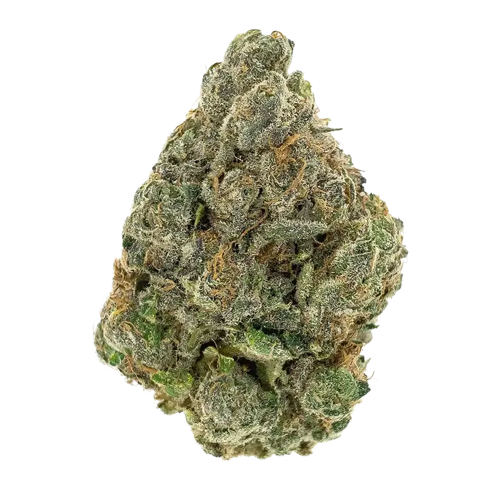 Irene'S Dog by High Grade Selections cannabis strain
