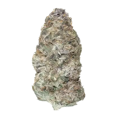 Iron Triangle by Xeno Seed Company cannabis strain
