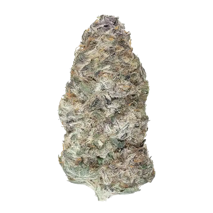 Iron Triangle by Xeno Seed Company cannabis strain