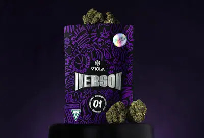 Iverson '01 by Viola cannabis strain