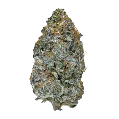 Juniper by High Grade Selections cannabis strain