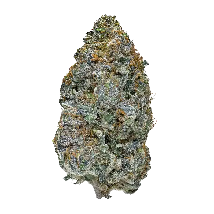 Juniper by High Grade Selections cannabis strain