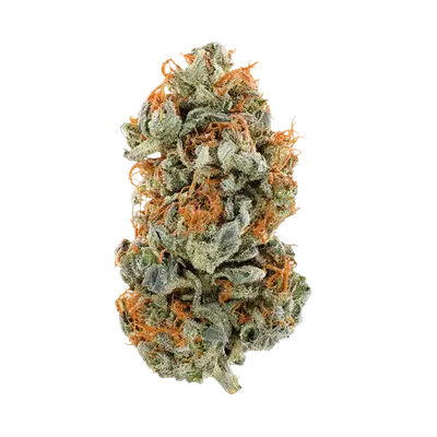 Larry Z by Burning Rope Pharms cannabis strain