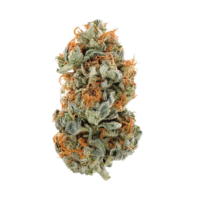 Larry Z by Burning Rope Pharms cannabis strain