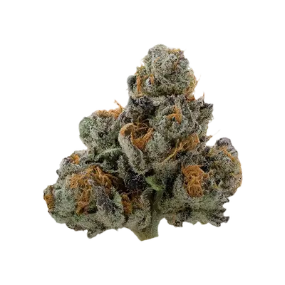Lucky Zevens by Burning Rope Pharms cannabis strain