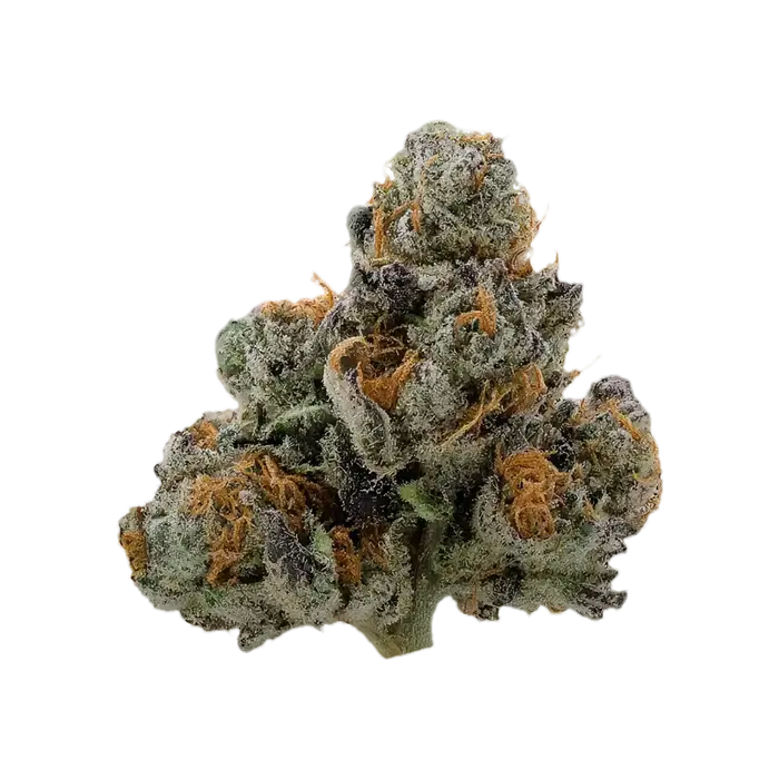 Lucky Zevens by Burning Rope Pharms cannabis strain