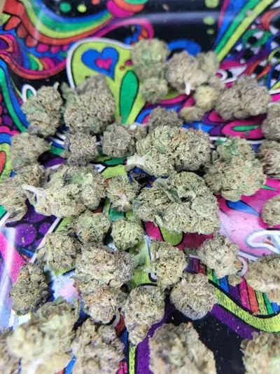 M1-56 by Ideal Herbs cannabis strain