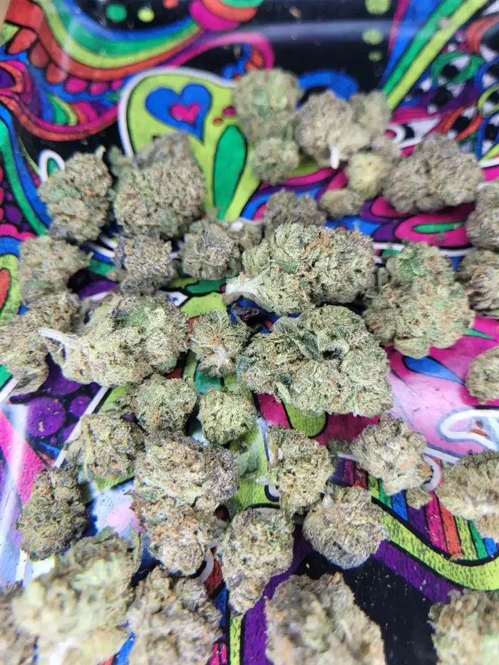 M1-56 by Ideal Herbs cannabis strain