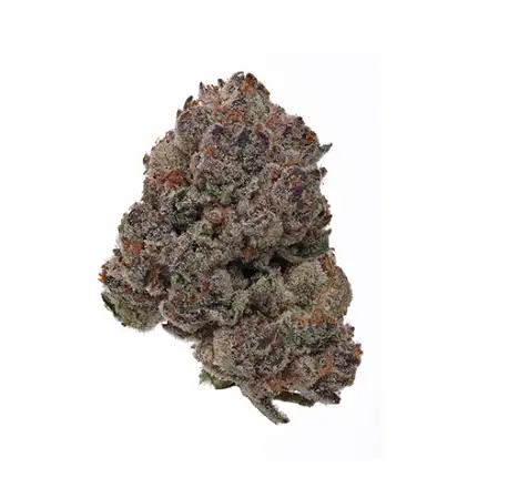 Macnanna by Progressive Treatment Solutions Pts cannabis strain