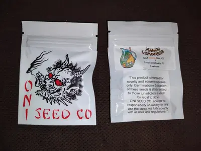Mango Lemonade by Oni Seed co., Photoperiod cannabis strain