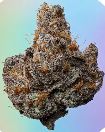 Mimz by Weeds The People cannabis strain