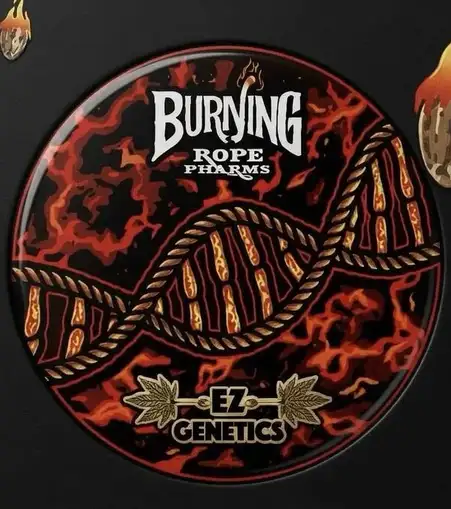 Miyazaki Regular by Burning Rope Pharms cannabis strain