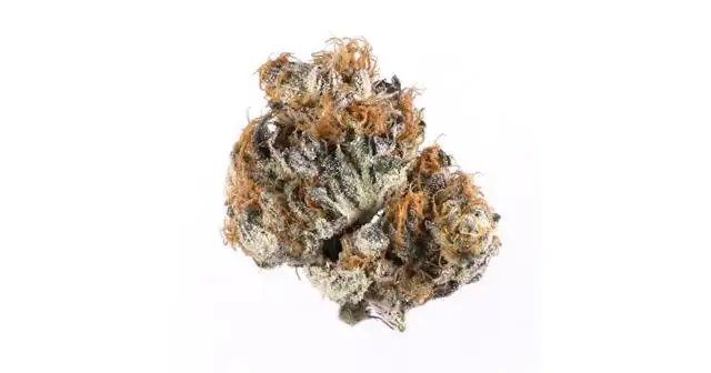 Moon Walk by The Farm Genetics cannabis strain