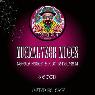 Nueralyzer Nuggs by Mephisto Genetics, Autoflower cannabis strain