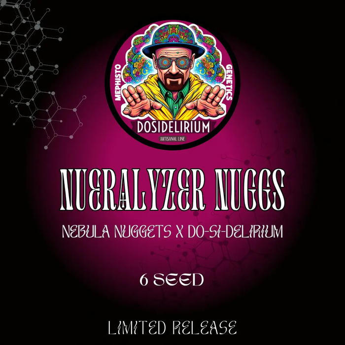 Nueralyzer Nuggs by Mephisto Genetics, Autoflower cannabis strain
