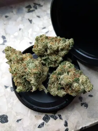 Og Sin by Veritas Cannabis cannabis strain