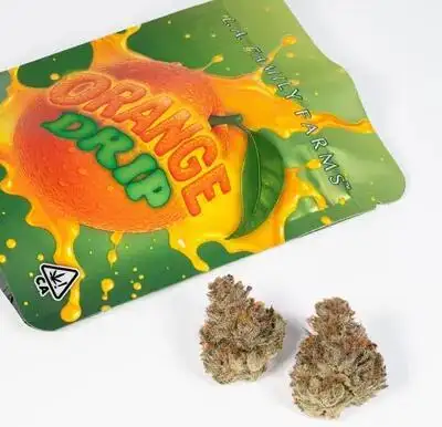 Orange Drip by La Family Farms cannabis strain