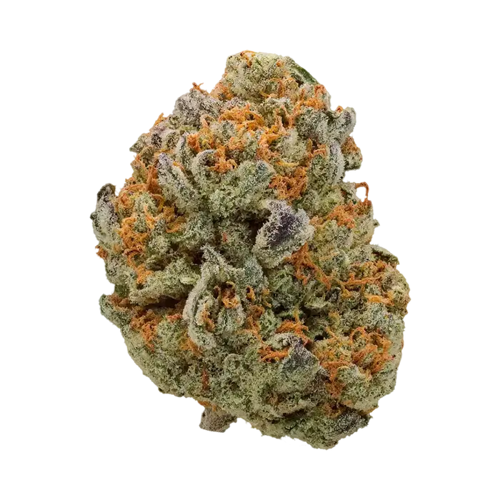 Orange God by Higher Ground Cannabis cannabis strain