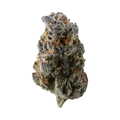 Oreo Sugar by Blockhead Buds cannabis strain