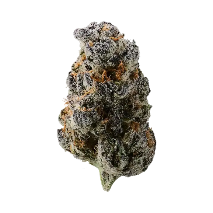 Oreo Sugar by Blockhead Buds cannabis strain